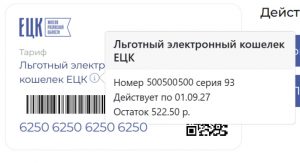 Обновление личного кабинета ЕЦК: удобство и полный контроль над картами - ЕЦК - Единая цифровая карта жителя Рязанской области
